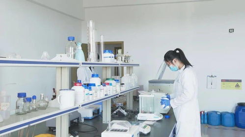 产学研深度融合再谱新篇 省级研究院落地泉港，驱动区域技术升级